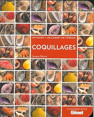 coquillages