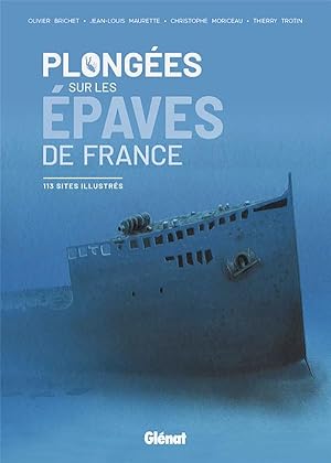plongées sur les épaves de France ; 113 sites illustrés