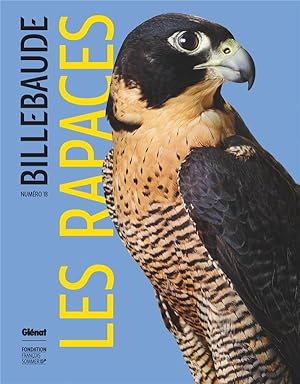 Billebaude n.18 : rapaces