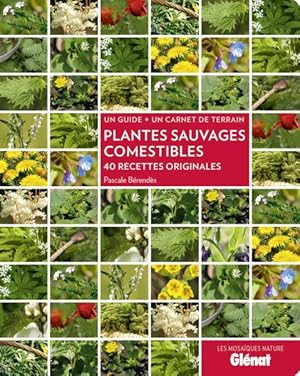 plantes sauvages comestibles ; 40 recettes originales