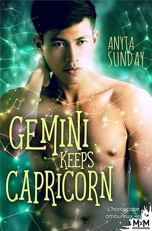 Seller image for l'horoscope amoureux t.3 ; gemini keeps capricorn for sale by Chapitre.com : livres et presse ancienne