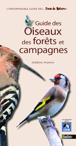 Guide des oiseaux des forêts et campagne