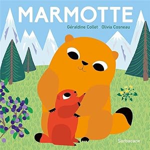 marmotte