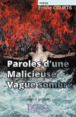 Bild des Verkufers fr paroles d'une malicieuse vague sombre zum Verkauf von Chapitre.com : livres et presse ancienne