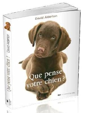 que pense votre chien ?