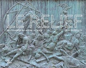 le relief, au croisement des arts du XIXe siècle ; de David d'Angers à Rodin