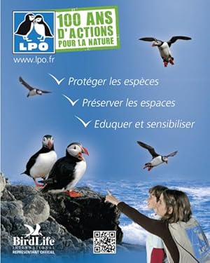 oiseaux du littoral