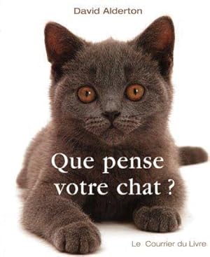 que pense votre chat ?