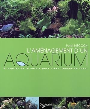 L'aménagement d'un aquarium