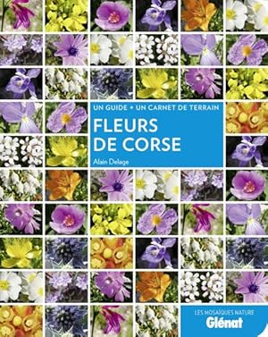 fleurs de Corse