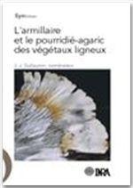 L'armillaire et le pourridié-agaric des végétaux ligneux