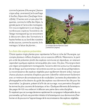 fleurs d'Auvergne