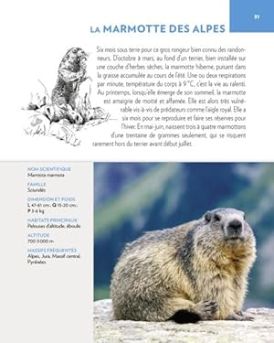 Bild des Verkufers fr animaux des montagnes zum Verkauf von Chapitre.com : livres et presse ancienne