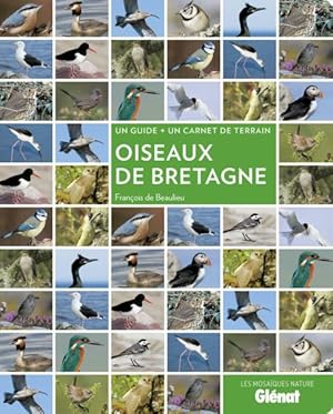 oiseaux de Bretagne