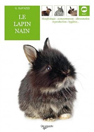 le lapin nain