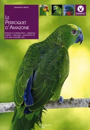 perroquet d amazonie