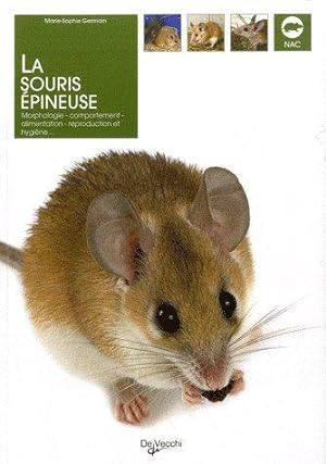 La souris épineuse. morphologie, comportement, alimentation, reproduction et hygiène