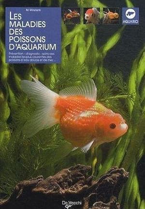 Les maladies des poissons d'aquarium