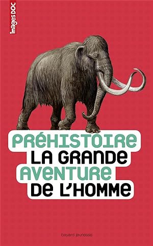 préhistoire, la grande aventure de l'homme