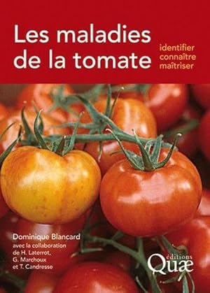 Les maladies de la tomate