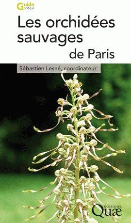 Image du vendeur pour Les orchides sauvages de Paris mis en vente par Chapitre.com : livres et presse ancienne