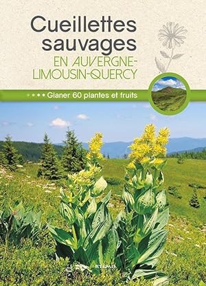 cueillettes sauvages en Auvergne-Limousin-Quercy ; glaner 60 plantes et fruits