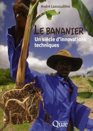 le bananier : un siècle d'innovations techniques