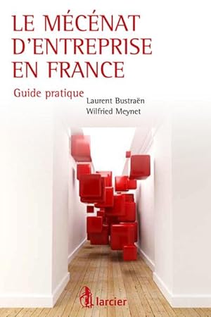 Image du vendeur pour le mcnat d'entreprise en France ; guide pratique mis en vente par Chapitre.com : livres et presse ancienne
