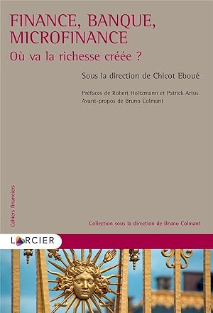 finance, banque, microfinance : où va la richesse créée ?