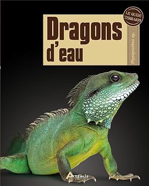 Immagine del venditore per dragons d'eau venduto da Chapitre.com : livres et presse ancienne