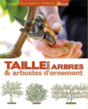 taille des arbres et des arbustes d'ornement