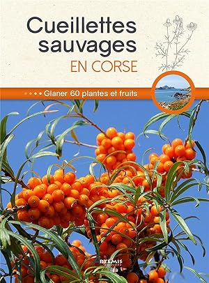 cueillettes sauvages en Corse