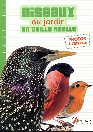 oiseaux du jardin en taille réelle