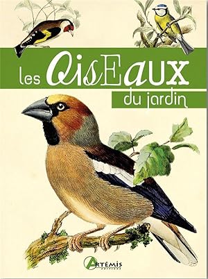 les oiseaux du jardin