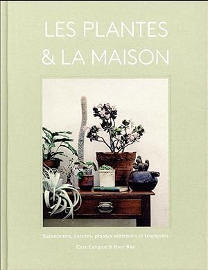 les plantes & la maison ; succulentes, cactées, plantes aériennes et tropicales