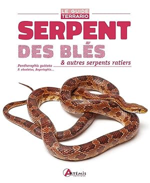 Bild des Verkufers fr serpent des bls & autres serpents ratiers ; pantherophis guttata, p. obsoletus, bogertophis. zum Verkauf von Chapitre.com : livres et presse ancienne