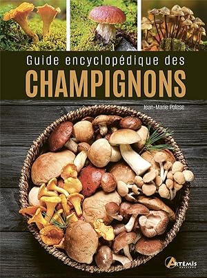 guide encyclopédique des champignons