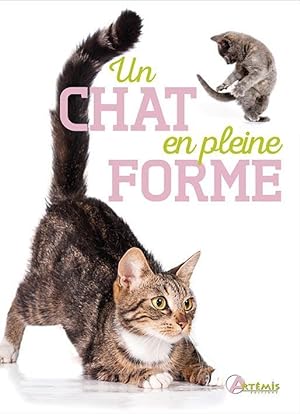 Bild des Verkufers fr un chat en pleine forme zum Verkauf von Chapitre.com : livres et presse ancienne
