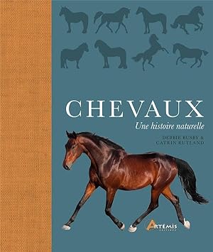 chevaux, une histoire naturelle