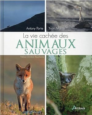 la vie cachée des animaux sauvages