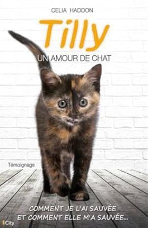 Tilly, le chat de l'amour