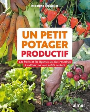 un petit potager productif