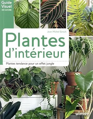 plantes d'intérieur ; plantes tendances pour un effet jungle