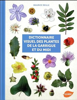 dictionnaire visuel des plantes de la garrigue