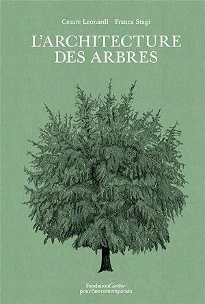 l'architecture des arbres