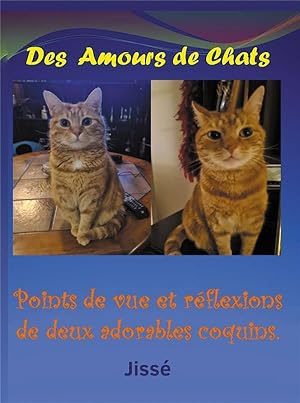 des amours de chats : points de vue et réflexions de deux adorables coquins