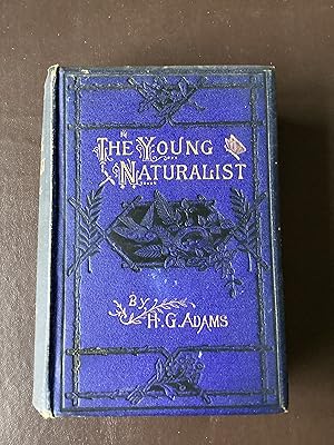 The Young Naturalist A Handy Volume upon the Collection, Preservation, and Arrangement of Butterf...