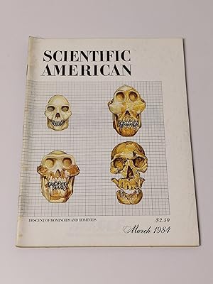 Scientific American : March 1984 - Descent Hominoids and Hominids