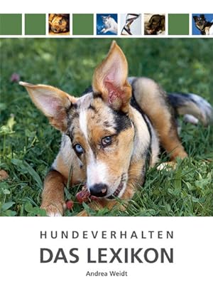 Bild des Verkufers fr Hundeverhalten - Das Lexikon zum Verkauf von Antiquariat Mander Quell