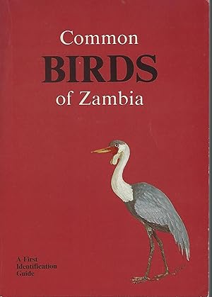 Common Birds of Zambia -